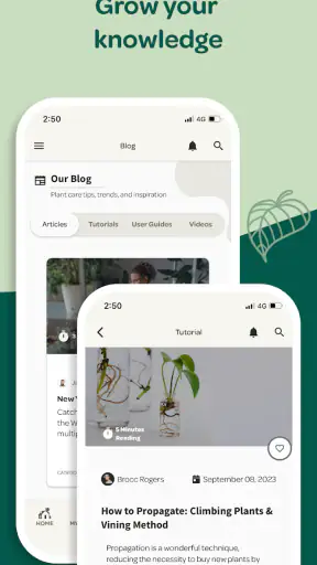Willow screenshot 6