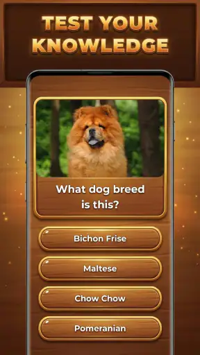 Wood Quiz Blast: Trivia Blocks screenshot 2