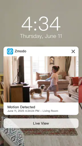 Zmodo screenshot 8