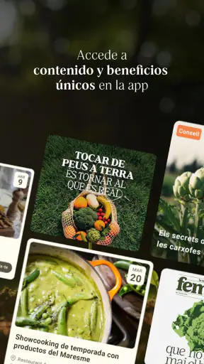 Ametller Origen screenshot 4