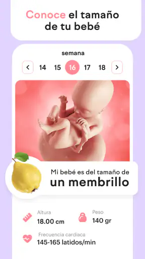 amma: calendario de embarazo screenshot 4