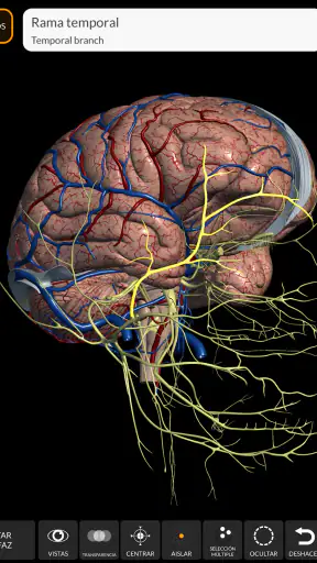 Anatomía - Atlas 3D screenshot 10