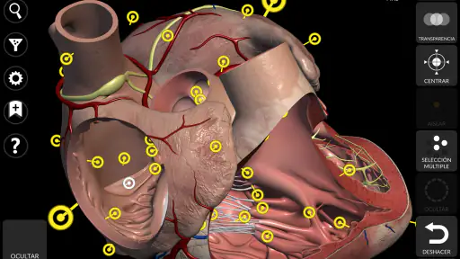 Anatomía - Atlas 3D screenshot 11