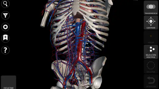 Anatomía - Atlas 3D screenshot 12
