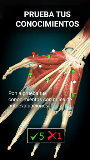 Anatomy Learning - Anatomía 3D screenshot 11