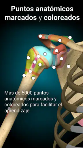 Anatomy Learning - Anatomía 3D screenshot 9