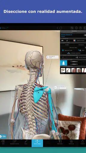 Atlas de anatomía humana 2026 screenshot 10