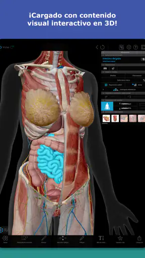 Atlas de anatomía humana 2026 screenshot 11