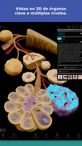 Atlas de anatomía humana 2026 screenshot 12