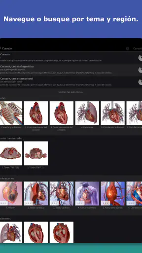 Atlas de anatomía humana 2026 screenshot 9