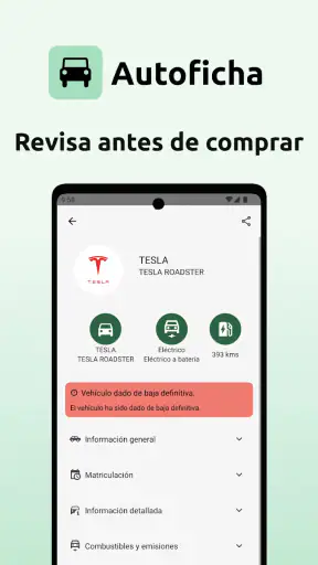 Autoficha - Informe DGT screenshot 3
