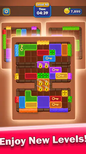 Block Master: Match Puzzle screenshot 11