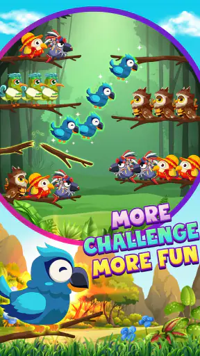 Ordenar Pájaros 2 Rompecabezas screenshot 2
