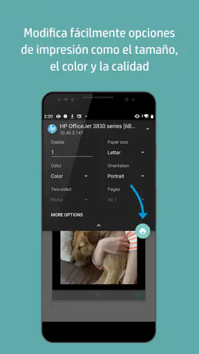 Complemento de servicio screenshot 4