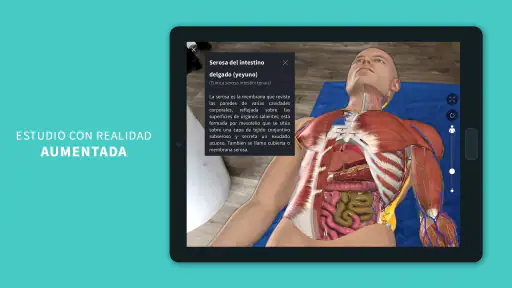 Complete Anatomy screenshot 12