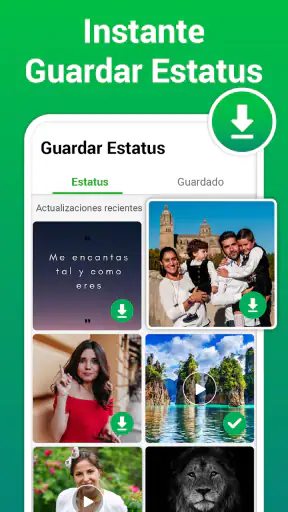 Descargador de Estados y Video screenshot 11