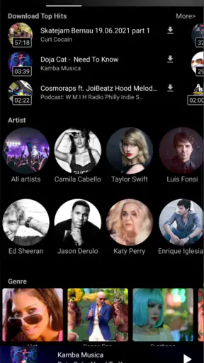 Descargador de música MP3 screenshot 6