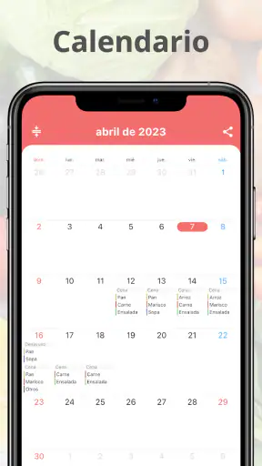 Diario Comida Planificador screenshot 6