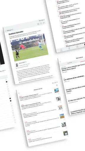 Diario Sur screenshot 8