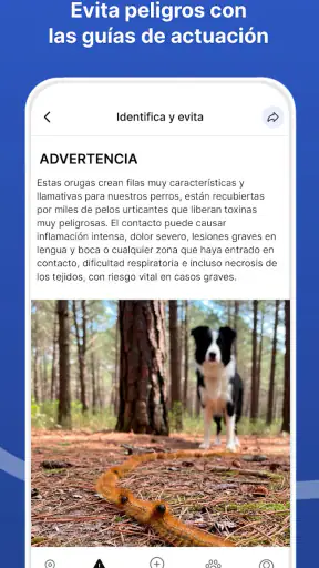 Doguify: petfriendly y alertas screenshot 6