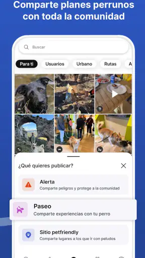 Doguify: petfriendly y alertas screenshot 7