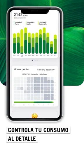 Yoigo LUZ y GAS — App Clientes screenshot 2