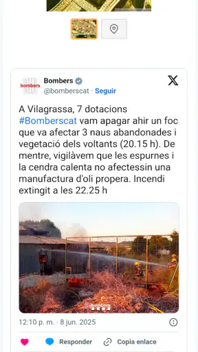 Focs.cat screenshot 4