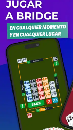 Fun Bridge screenshot 1
