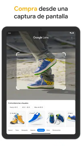 Google screenshot 11