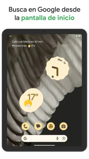 Google screenshot 9