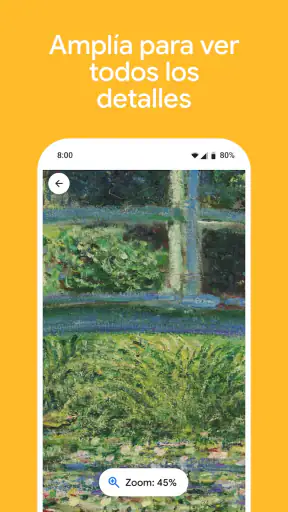 Google Arts & Culture screenshot 6