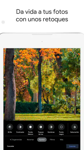 Google Fotos screenshot 11