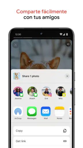 Google Fotos screenshot
