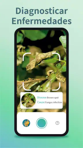 Identificar Plantas y Cuidado screenshot 2