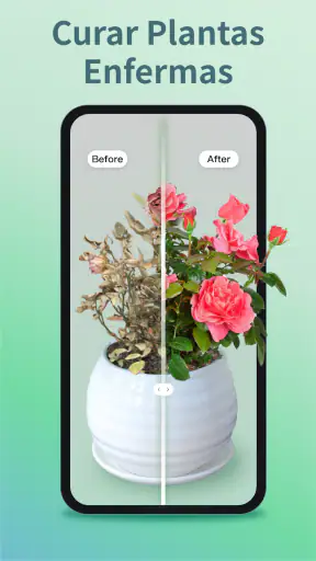Identificar Plantas y Cuidado screenshot 3