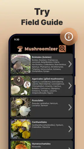 Identificador de Hongos screenshot 5