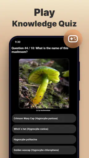 Identificador de Hongos screenshot 6