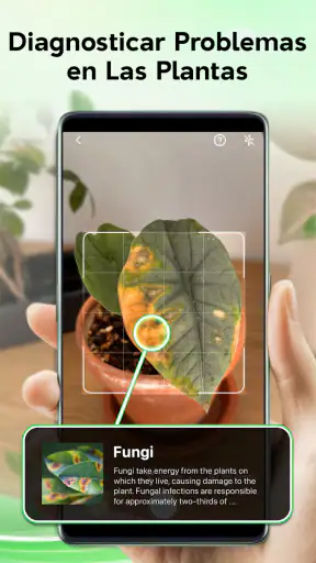 Identificador de plantas screenshot 2