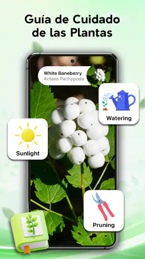 Identificador de plantas screenshot 3