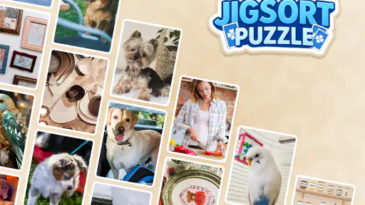 Jigsort Rompecabezas: Solit screenshot 8
