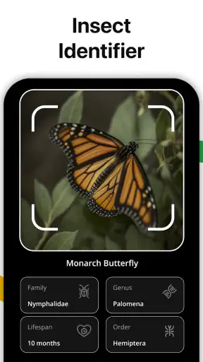 Lens AI: Identify Anything screenshot 11