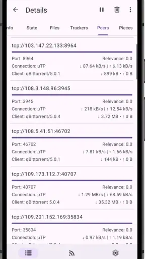 LibreTorrent screenshot 6