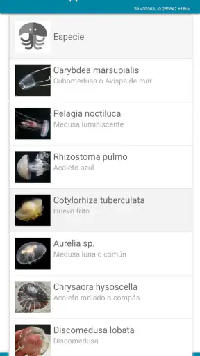 MedusApp screenshot 5