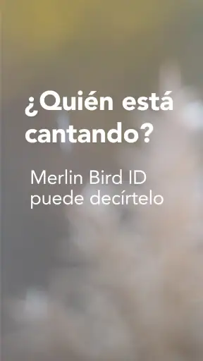Merlin Bird ID de Cornell Lab screenshot 1