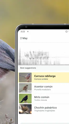 Merlin Bird ID de Cornell Lab screenshot 3