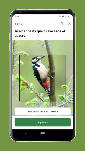 Merlin Bird ID de Cornell Lab screenshot 6