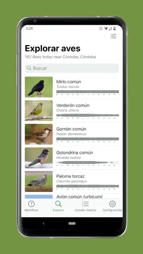 Merlin Bird ID de Cornell Lab screenshot 7