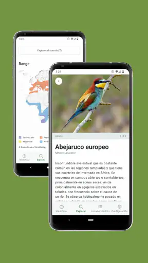 Merlin Bird ID de Cornell Lab screenshot 8