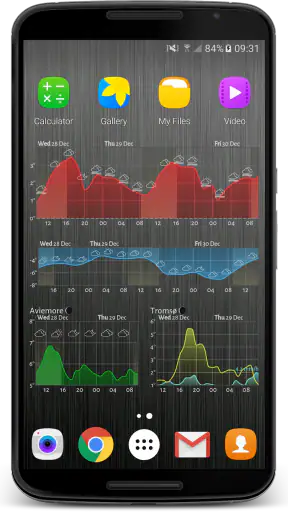 Meteogram Pro Weather Widget screenshot 4