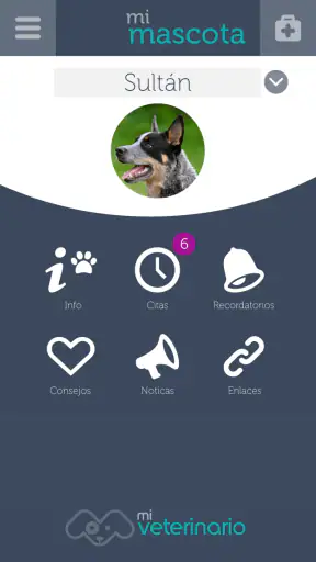 Mi Veterinario screenshot 3